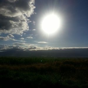 Meet your Posher, Carol